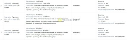 Дорогі годинники у декларації Віталія Кличка