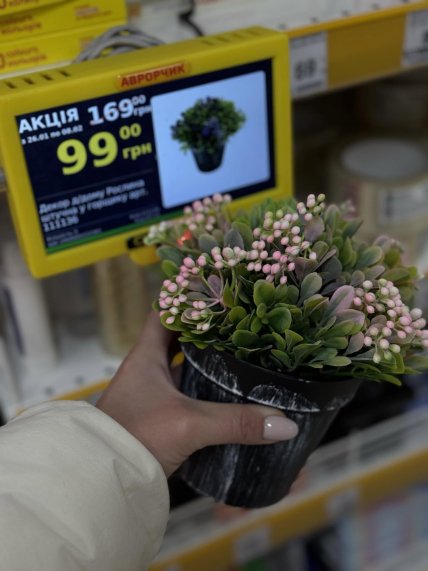 Акции в Авроре до 8 февраля