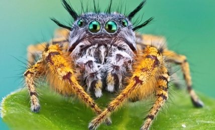 Куда сходить в Киеве на выходных с детьми: афиша детских мероприятий на выходные 17 и 18 декабря - изображение №24