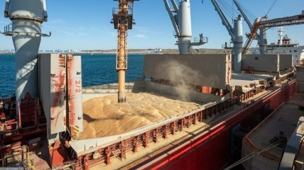 Украинское зерно стало конкурентом для европейских аграриев