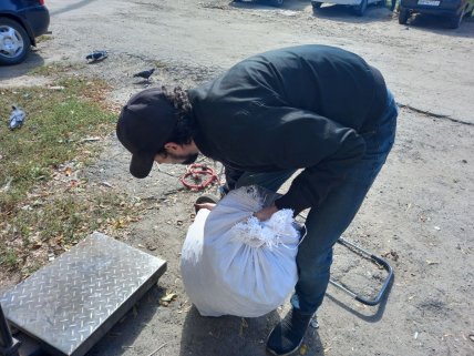 Де в Україні здають каштани