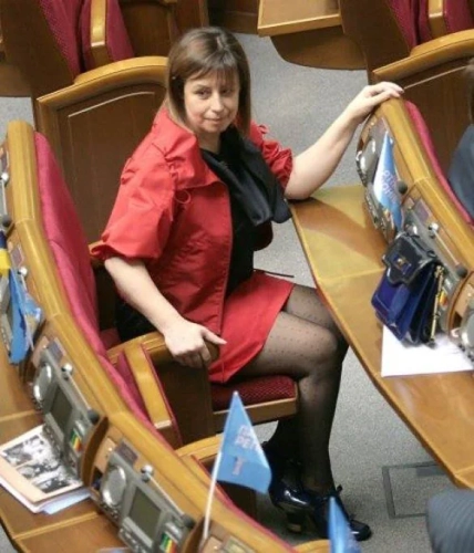 Анна Герман политик