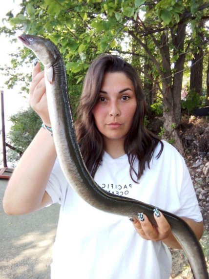 Женщина поймала на донку угря