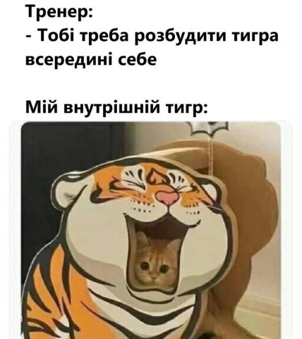 Мем с котом мой внутренний зверь