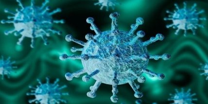 коронавирус