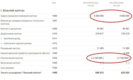 У звітності КП "Спецжитлофонд" гроші відобразилися як зареєстрований (пайовий) капітал. Скриншот