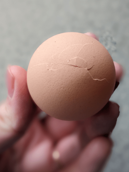 Перед покупкой яиц для окрашивания их обязательно нужно проверить