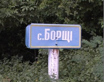 Борщі село