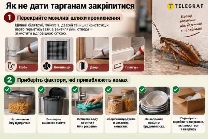 Как не дать тараканам закрепиться. Инфографика: ИИ "Телеграф"
