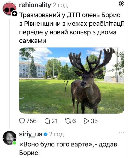 Мем про оленя Бориса