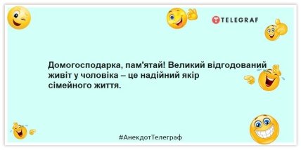 Анекдоти про домогосподарок - Домогосподарка, пам'ятай! Великий відгодований живіт у чоловіка – це надійний якір сімейного життя.