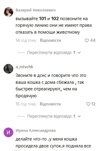 Комментарии пользователей