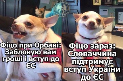 В мережі створюють меми на слова Фіцо