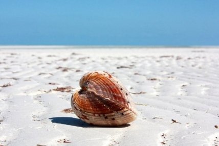 Полное уединение с природой