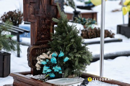 Три больших поля вместо одного участка