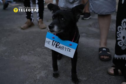 Протести в Києві