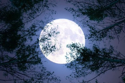 Холодное полнолуние 5 декабря