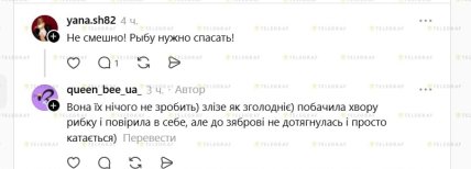 У Threads есть видео, где лягушка сидит на голове рыбы – реакция комментариев