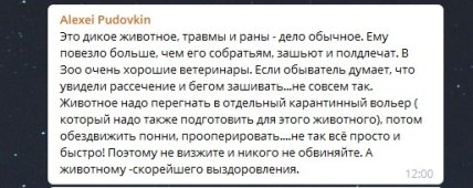 Зоопарк комментарии 1