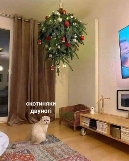 кот и елка смешная картинка