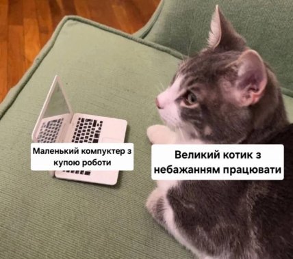 Мем з котом та комп’ютером про роботу