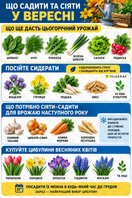 Какие цветы, зелень, сидераты и овощи нужно сажать и сеять в сентябре