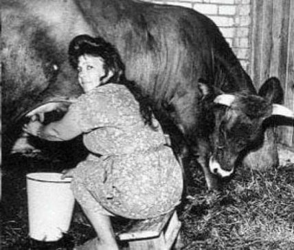 Галина Лукашенко дама з коровою