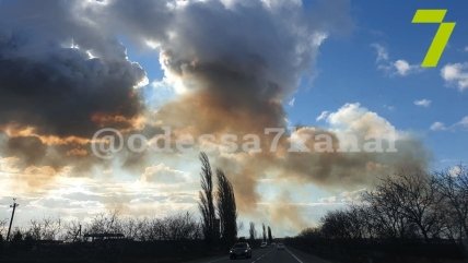 Пожар возле села Маяки