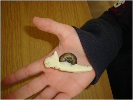 Всеукраинский конкурс "Урок сказки"  вырастил  "Дерево мечты" - изображение №3