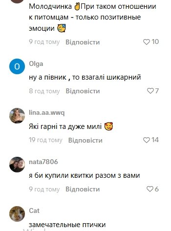 Коментарі користувачів