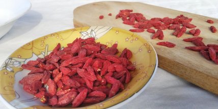 Ягоды годжи можно вырастить самому