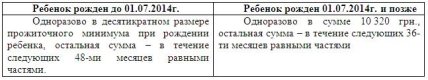 Как получить помощь при рождении ребенка: советы юриста - изображение №6