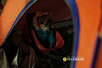 Собака в укрытии метро, ночь на 17 февраля