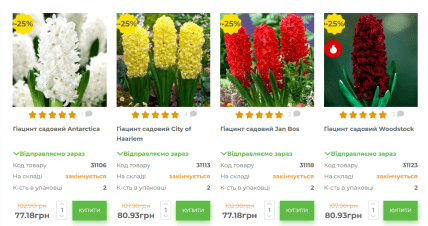 Гіацинт як посадити і які ціни на цибулини