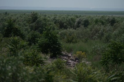 Місце, де було Каховське водосховище