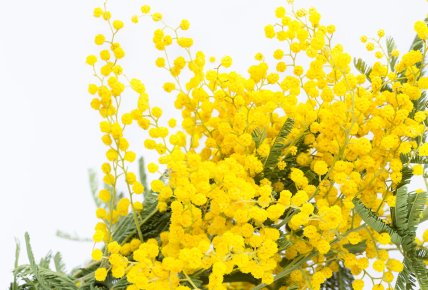 Що дарували жінкам на 8 березня в СРСР