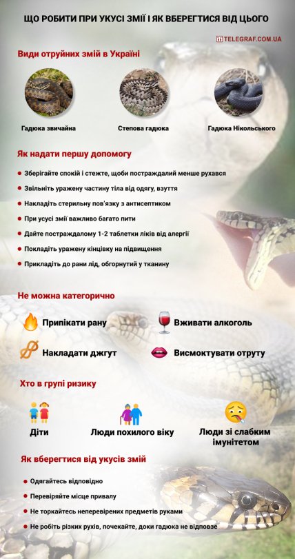 Укус змеи