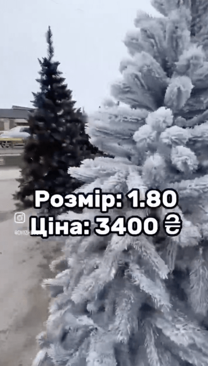 Сколько стоит елка в Харькове