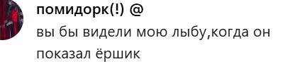 Дизайнер создал туалетный ерш с головой Путина