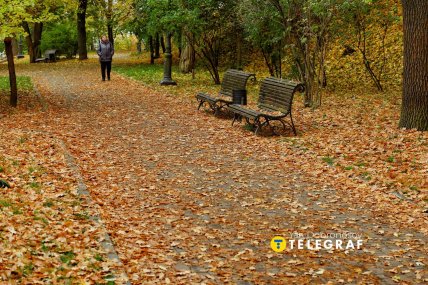 Парк в Киеве