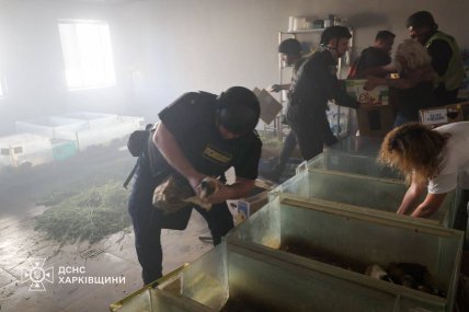 Рятувальники та поліцейські рятують тварин