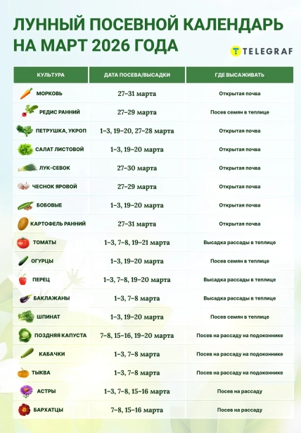 Когда и что сажать в марте 2026 года