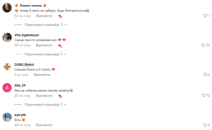 Собака искала своего хозяина после обстрела Киева 28 августа — комментарии