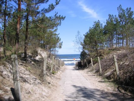 Карвия