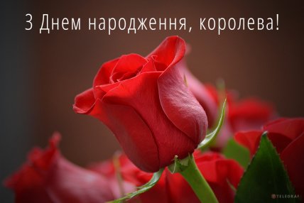 модні стильні листівки з днем народження жінці