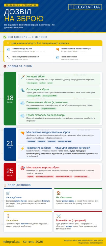 Кто и при каких условиях может получить оружие в Украине/ Инфографика сделана с помощью ИИ