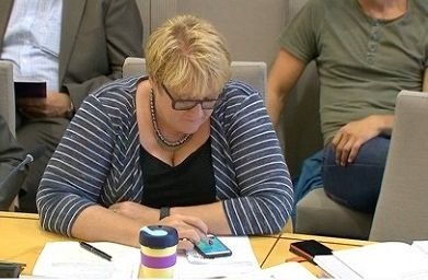 В Норвегии депутата поймали на ловле покемонов