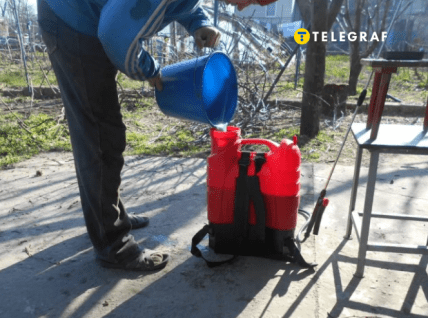 Как обрабатывать сад и огород осенью