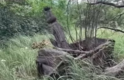 Село Замошня что известно