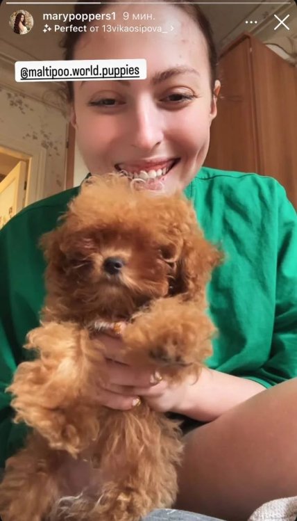 Маша Полякова собака